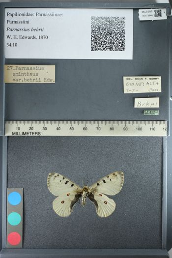 Media type: image;   Entomology 173946